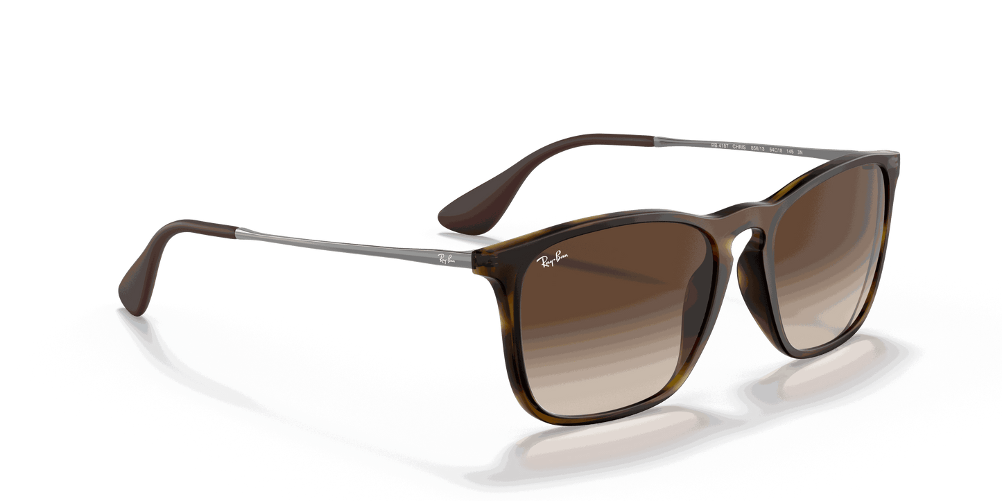 [Brown Gradient Lenses, Matte Havana Frame]