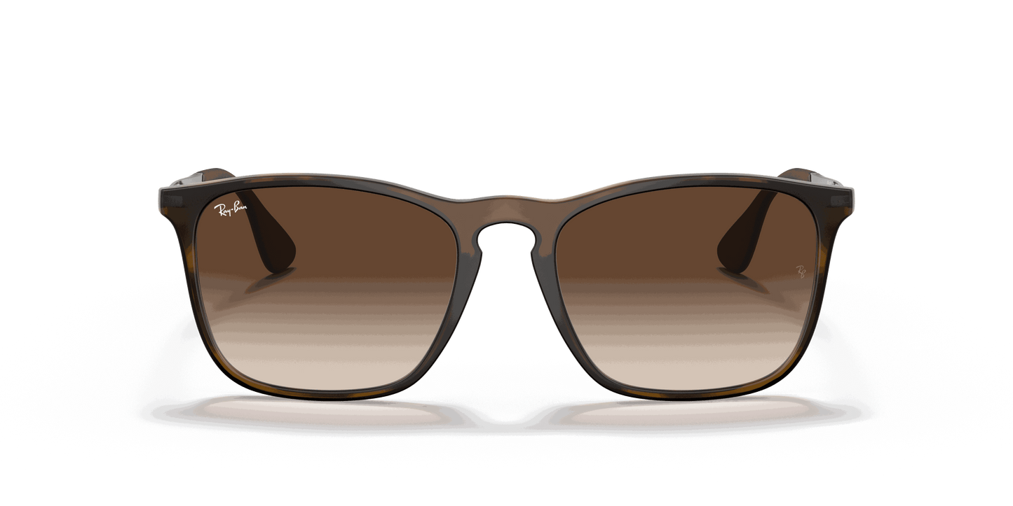 [Brown Gradient Lenses, Matte Havana Frame]
