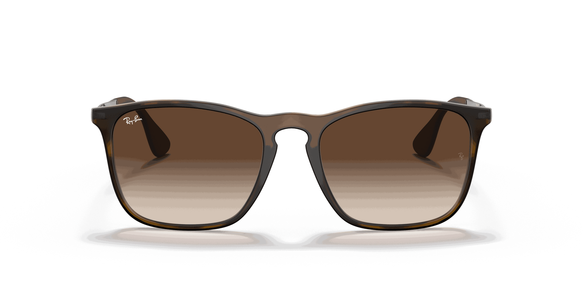 [Brown Gradient Lenses, Matte Havana Frame]