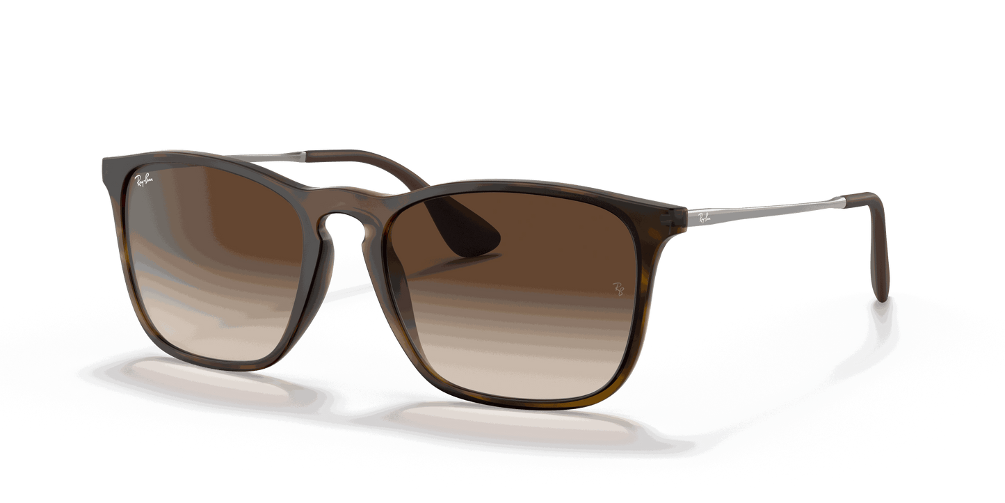 [Brown Gradient Lenses, Matte Havana Frame]