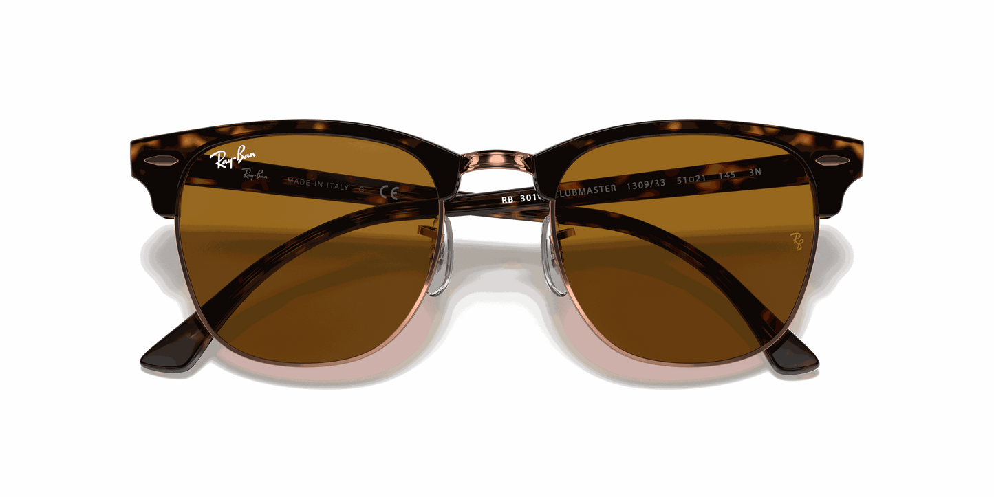 [B-15 Brown Lenses, Polished Havana Frame]