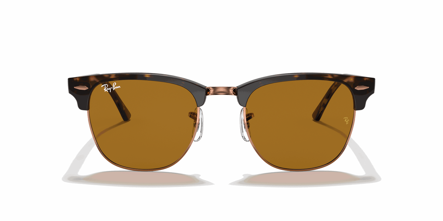 [B-15 Brown Lenses, Polished Havana Frame]