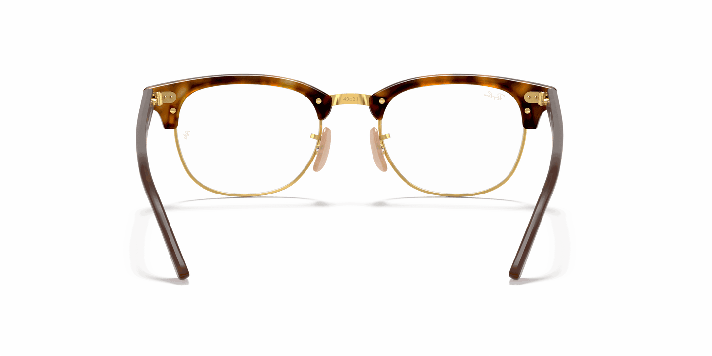 [Clear Lenses, Polished Red Havana Frame]