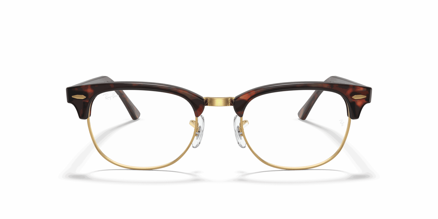 [Clear Lenses, Polished Tortoise Frame]