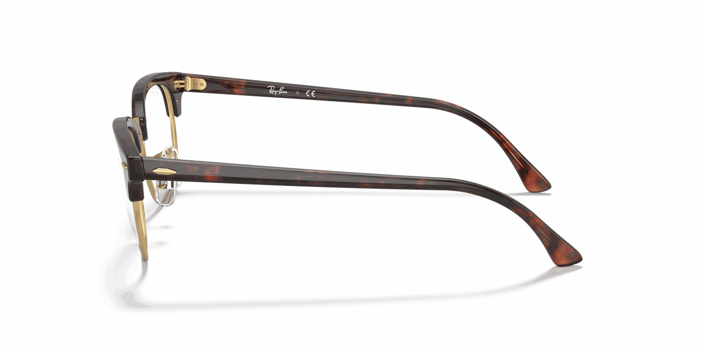 [Clear Lenses, Polished Tortoise Frame]