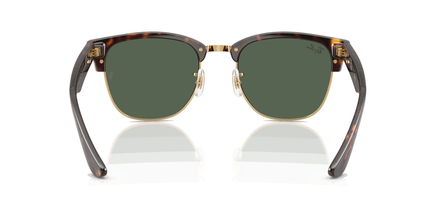 [Dark Green Lenses, Polished Havana Frame]