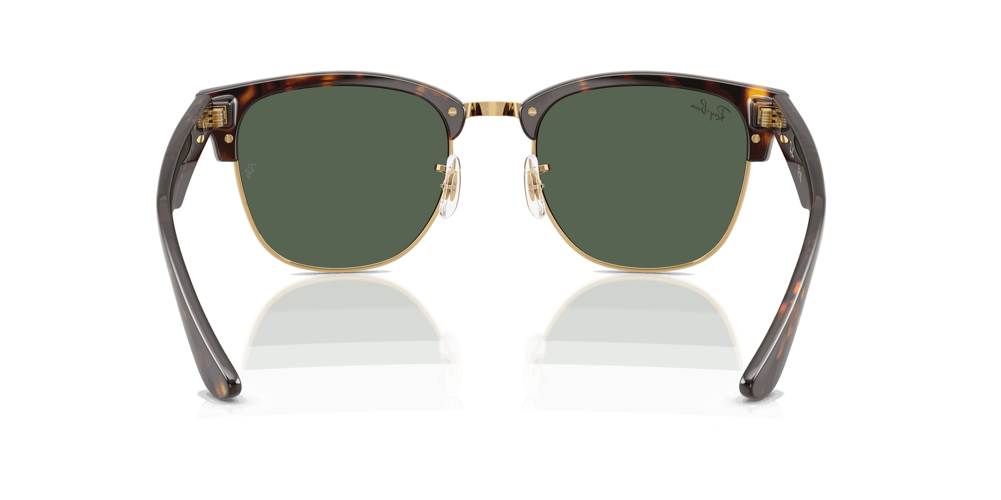 [Dark Green Lenses, Polished Havana Frame]