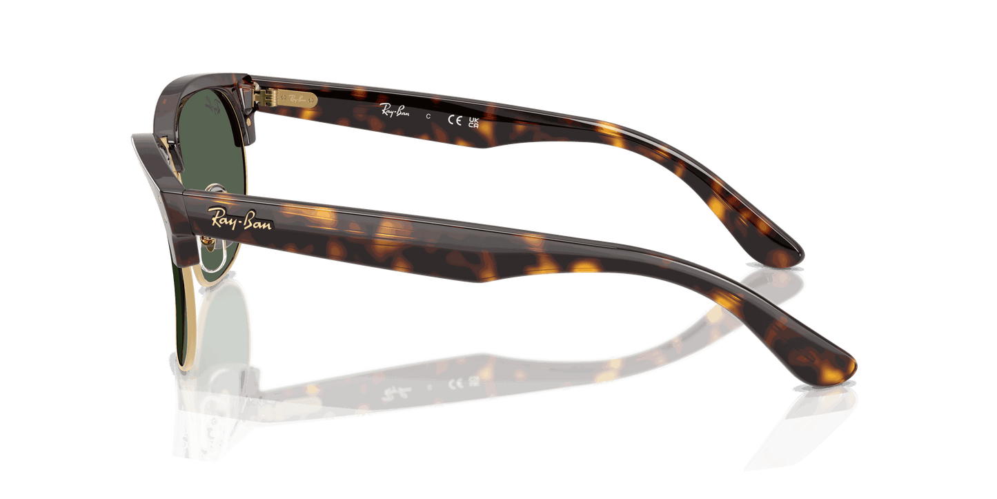 [Dark Green Lenses, Polished Havana Frame]