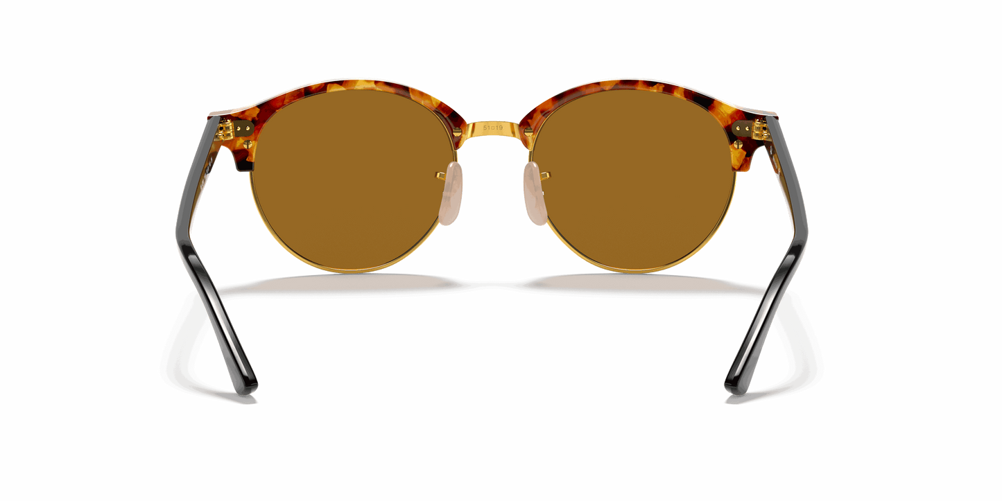 [B-15 Brown Lenses, Polished Brown Havana Frame]