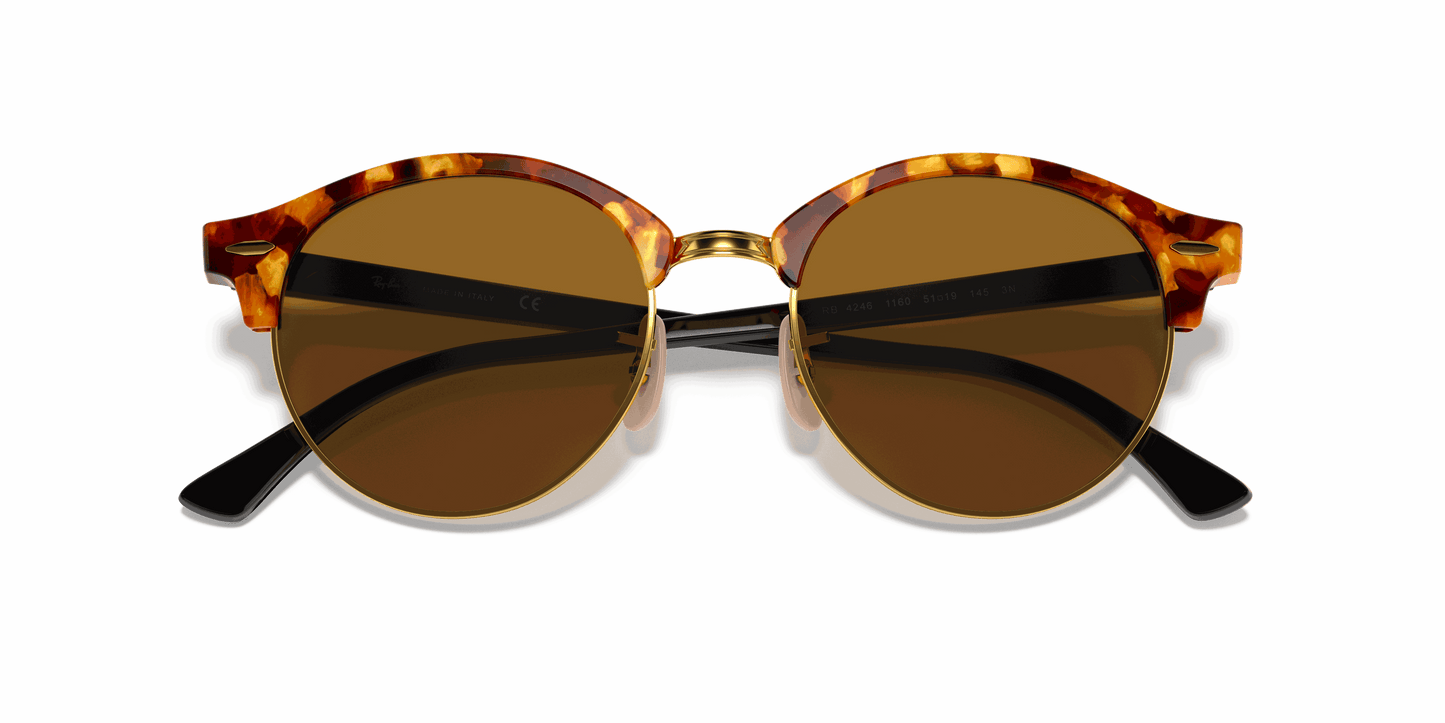 [B-15 Brown Lenses, Polished Brown Havana Frame]