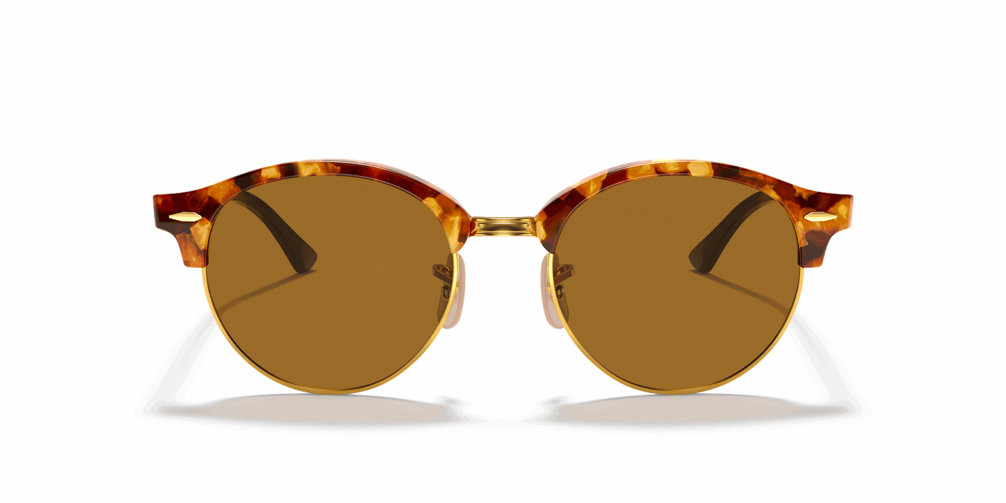 [B-15 Brown Lenses, Polished Brown Havana Frame]