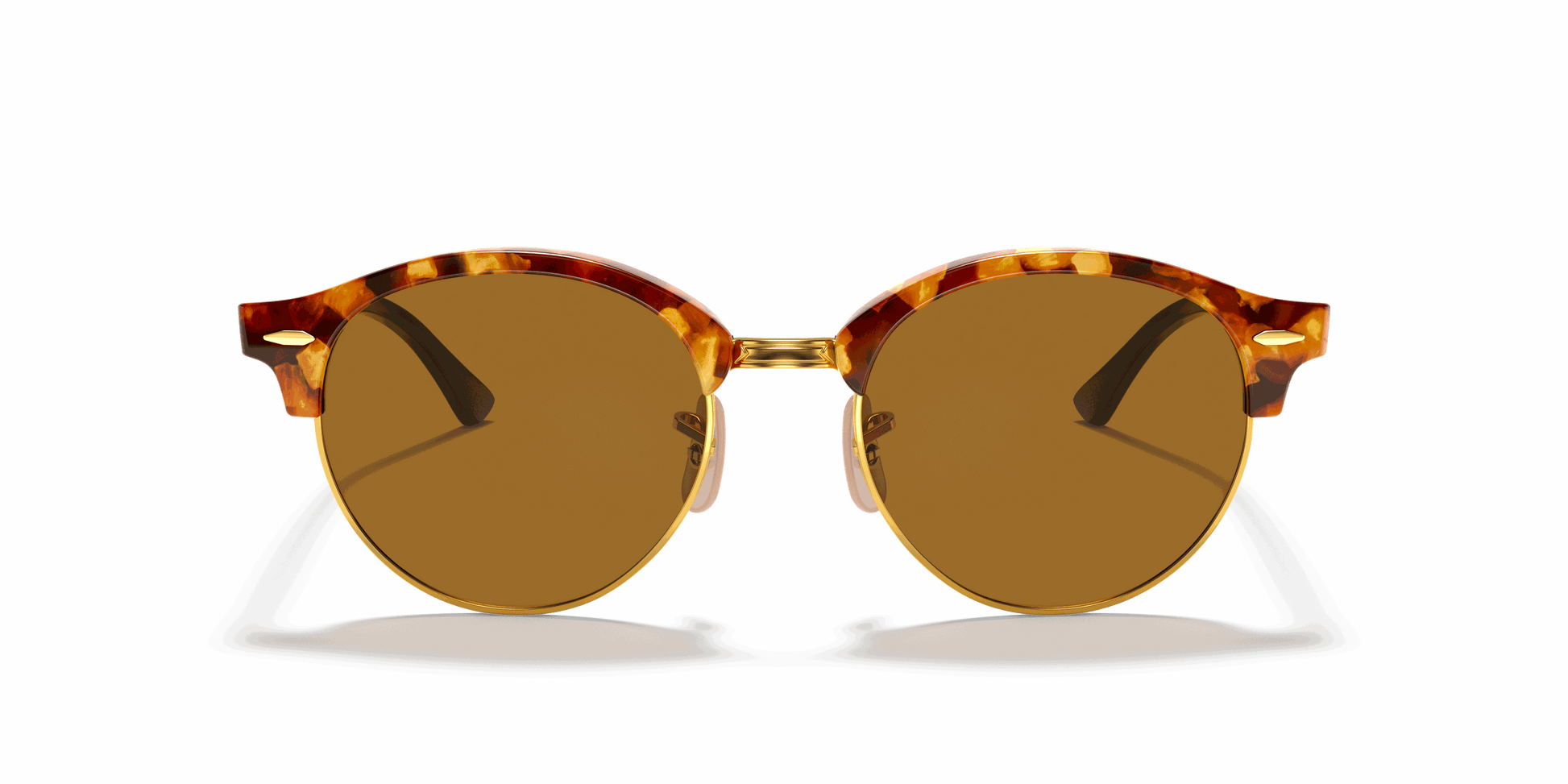 [B-15 Brown Lenses, Polished Brown Havana Frame]