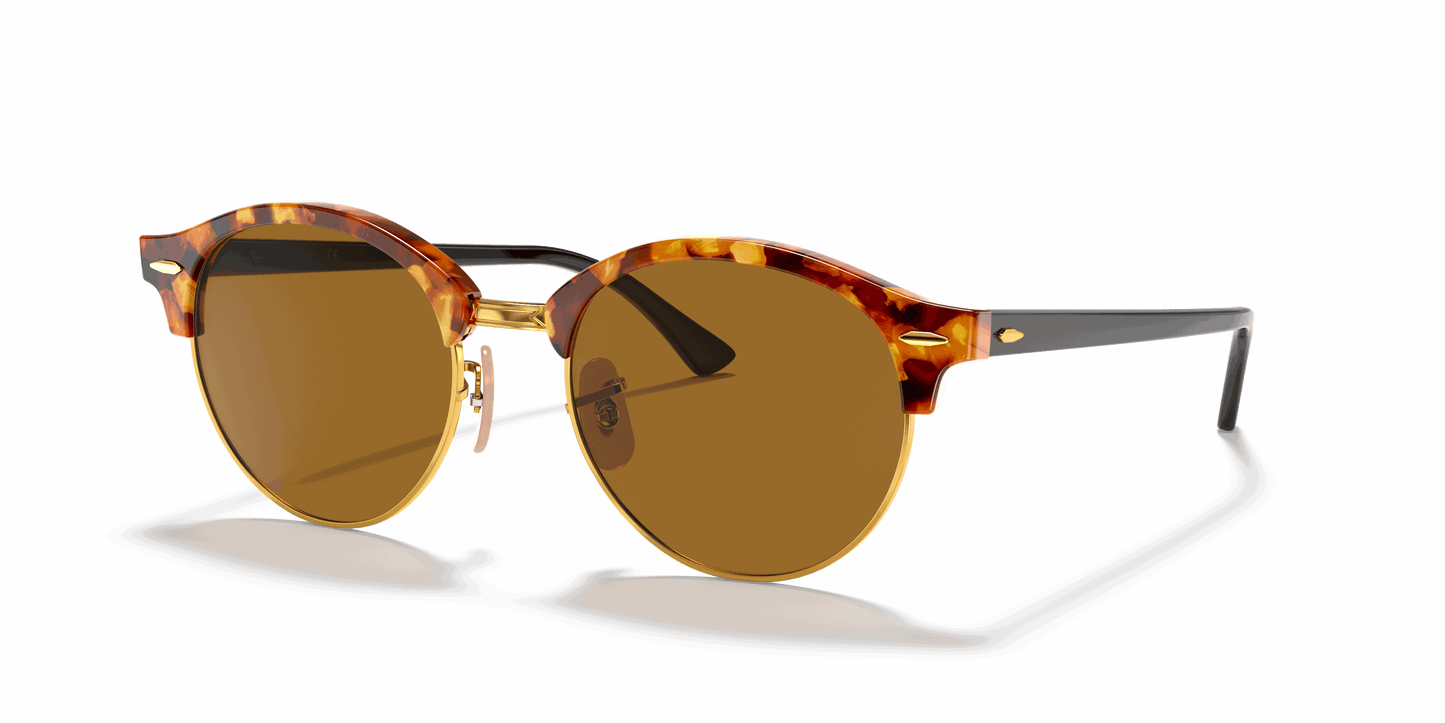 [B-15 Brown Lenses, Polished Brown Havana Frame]