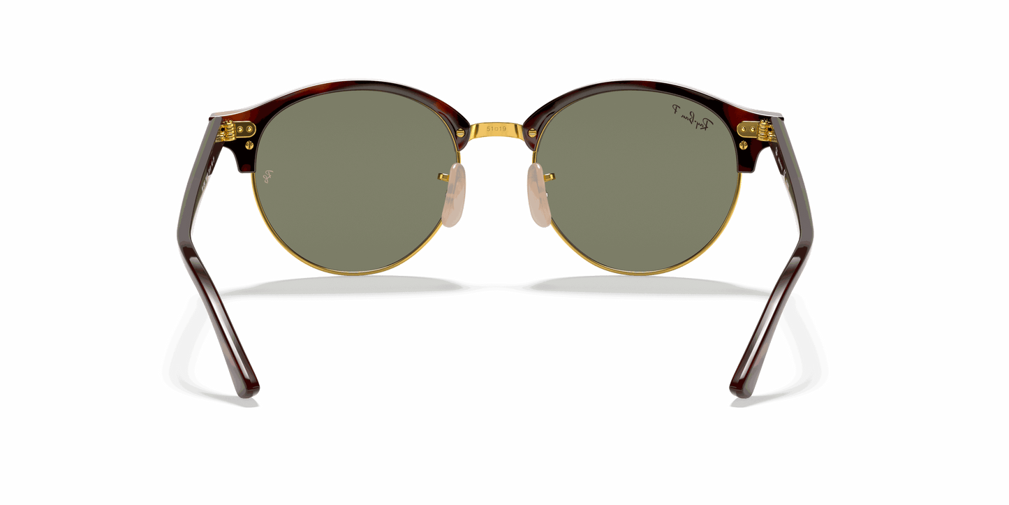 [G-15 Green Lenses, Polished Red Havana Frame]