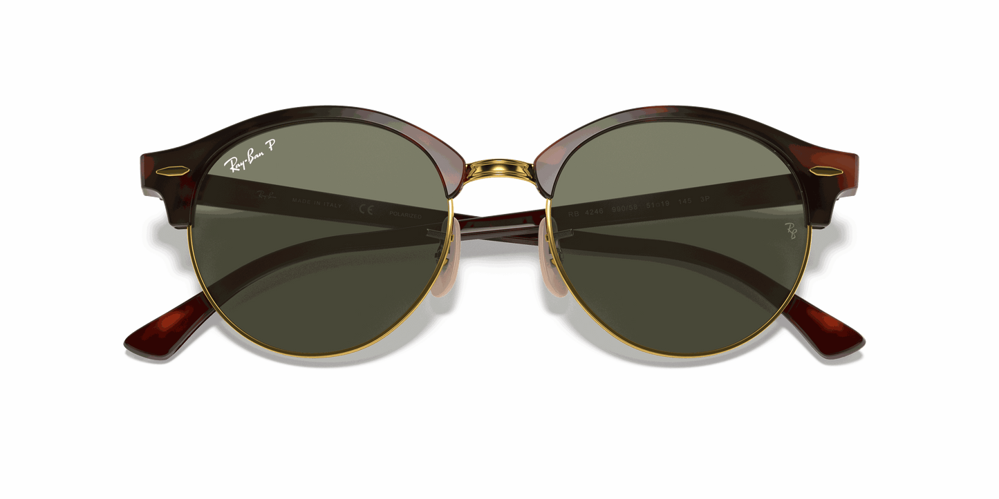 [G-15 Green Lenses, Polished Red Havana Frame]