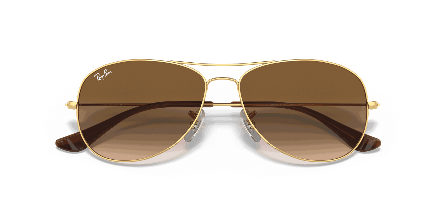 [Light Brown Gradient Lenses, Polished Arista Gold Frame]