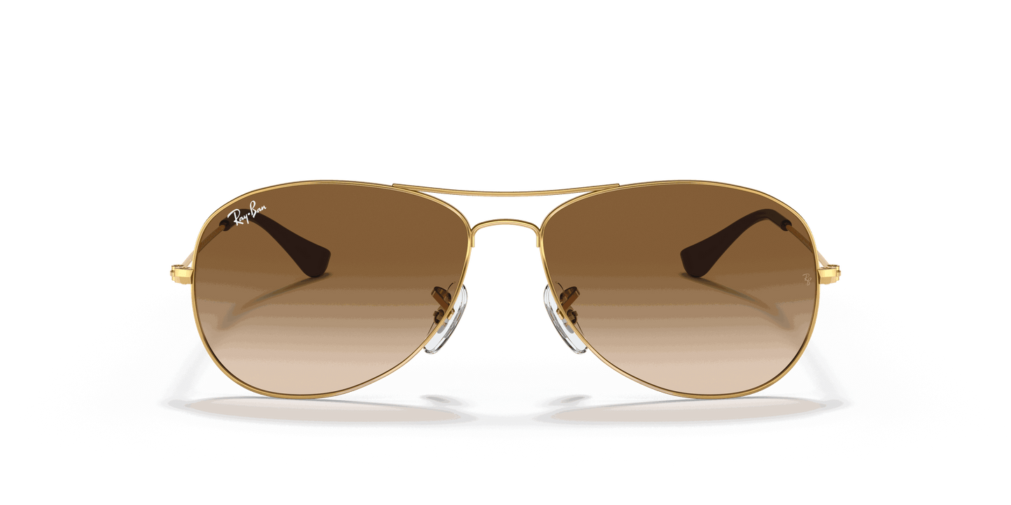 [Light Brown Gradient Lenses, Polished Arista Gold Frame]