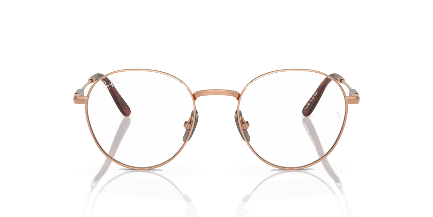 [Clear Lenses, Polished Light Brown Frame]