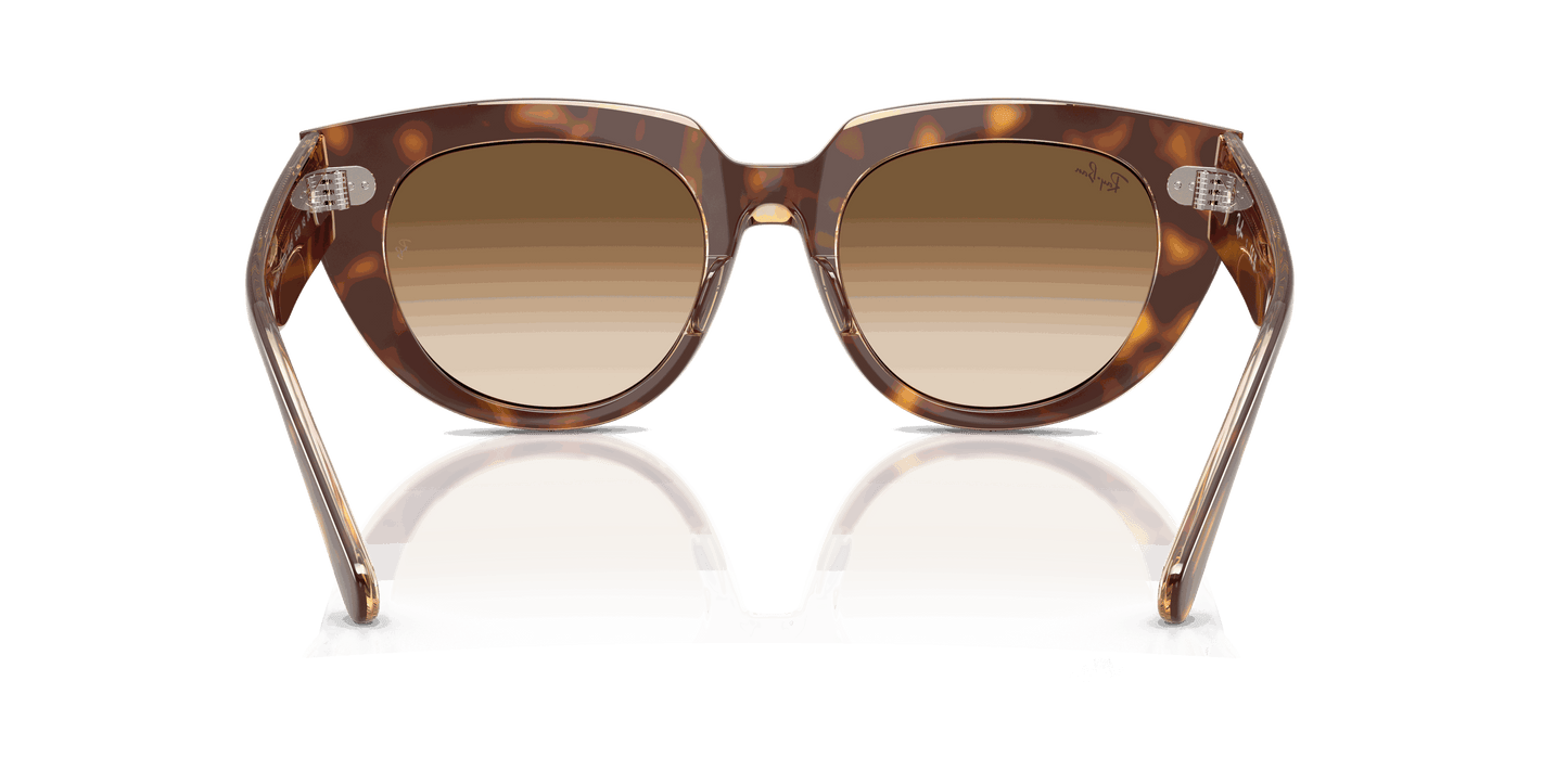 [Clear Gradient Brown Lenses, Polished Light Havana On Transparent Multicolor Frame]