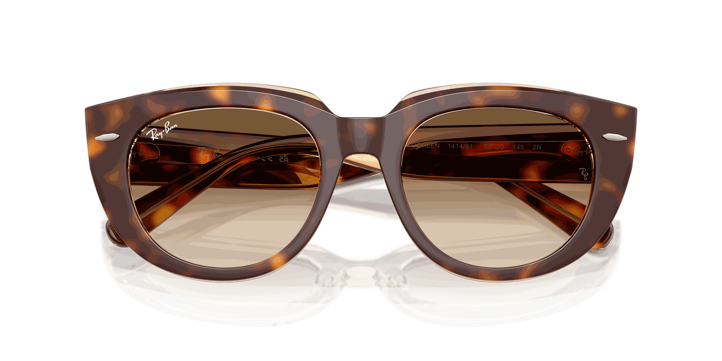 [Clear Gradient Brown Lenses, Polished Light Havana On Transparent Multicolor Frame]