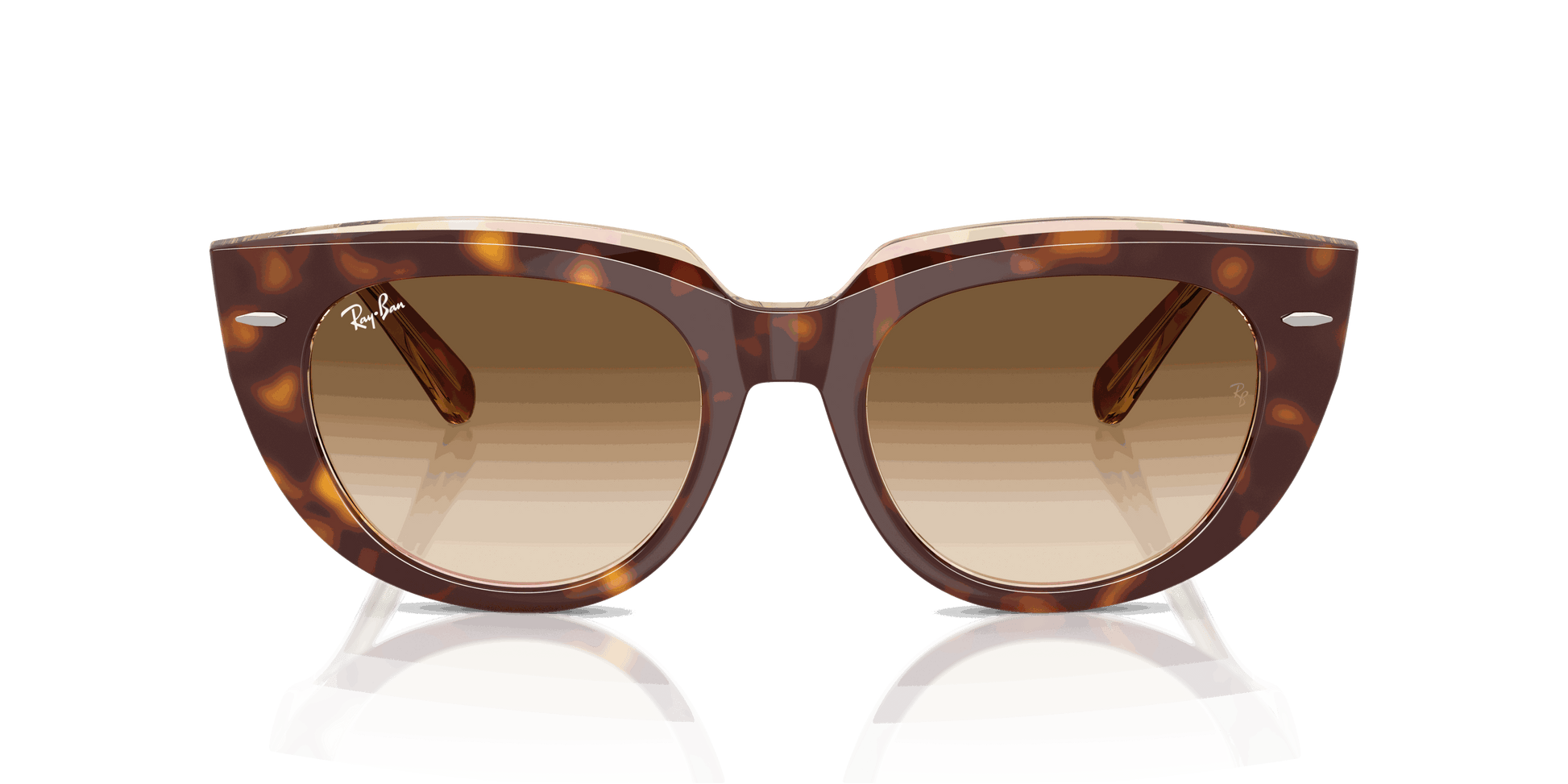[Clear Gradient Brown Lenses, Polished Light Havana On Transparent Multicolor Frame]