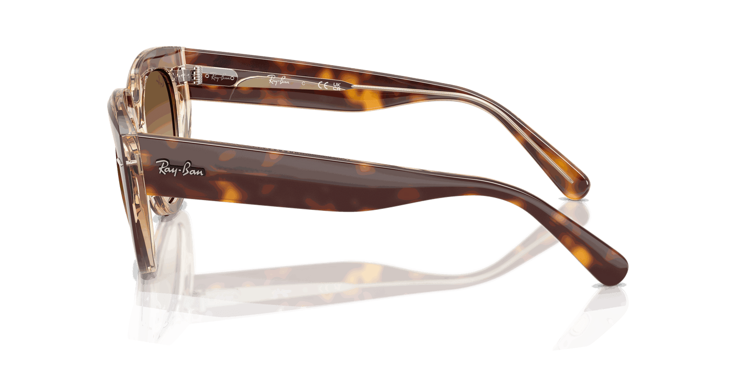 [Clear Gradient Brown Lenses, Polished Light Havana On Transparent Multicolor Frame]