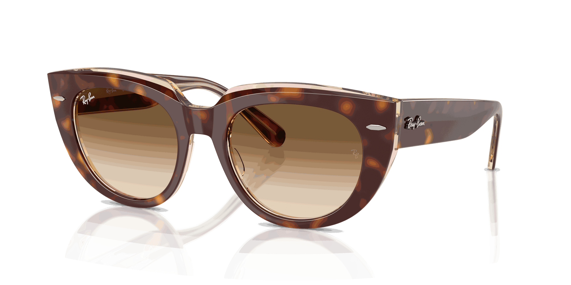 [Clear Gradient Brown Lenses, Polished Light Havana On Transparent Multicolor Frame]