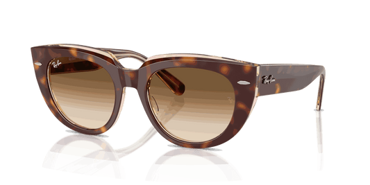 [Clear Gradient Brown Lenses, Polished Light Havana On Transparent Multicolor Frame]