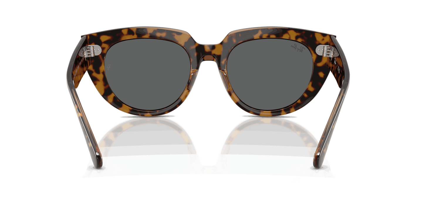 [Dark Grey Lenses, Polished Havana On Transparent Brown Frame]