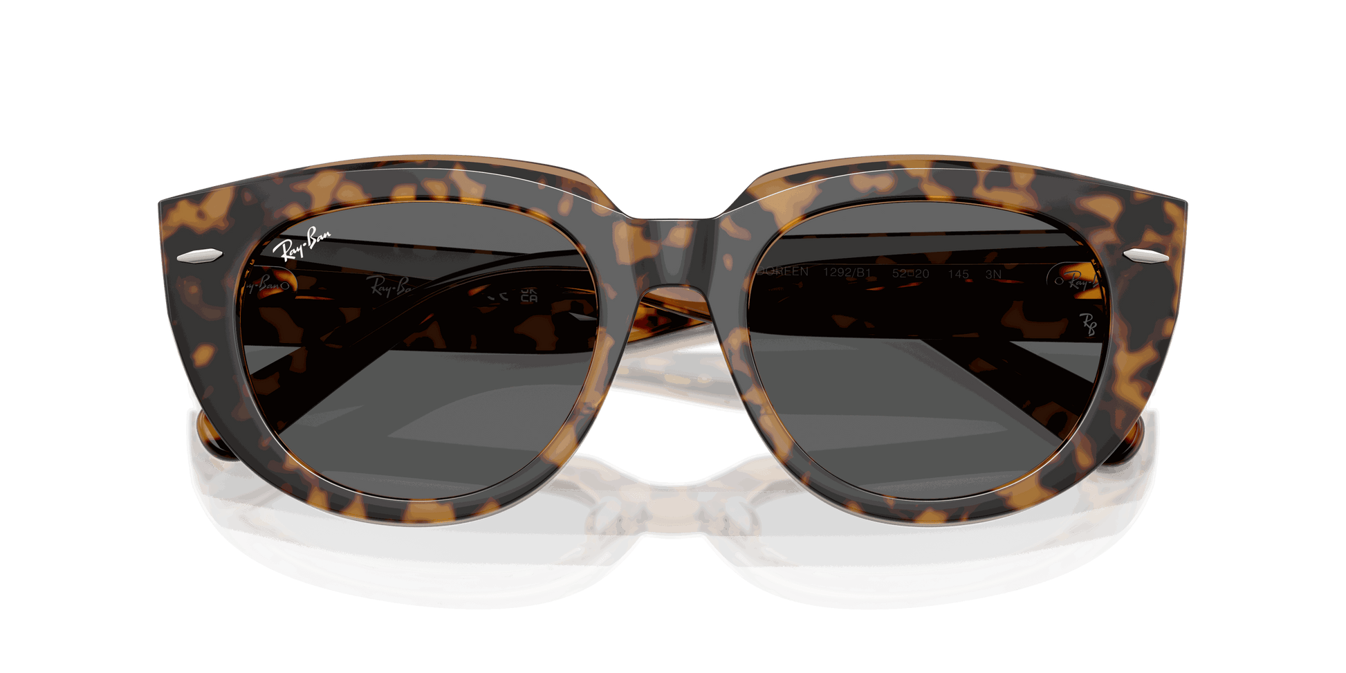 [Dark Grey Lenses, Polished Havana On Transparent Brown Frame]