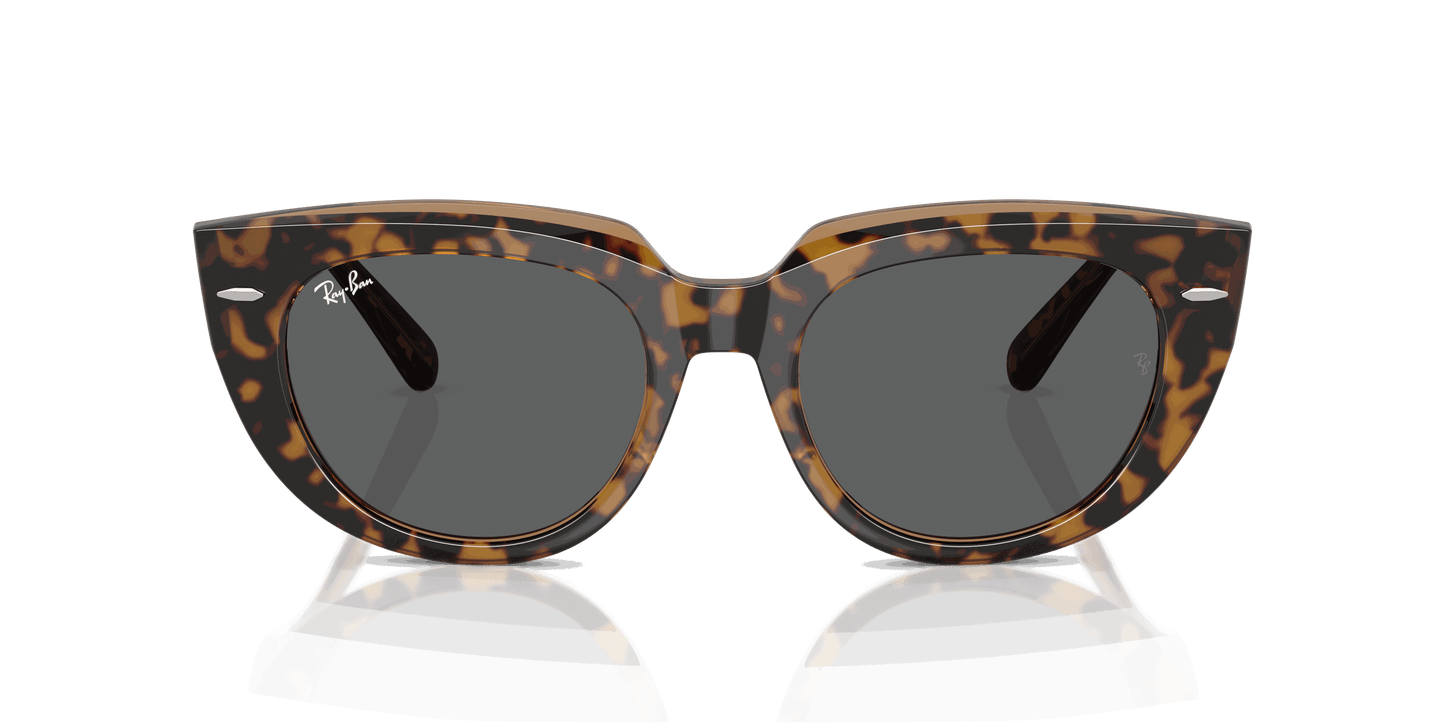 [Dark Grey Lenses, Polished Havana On Transparent Brown Frame]