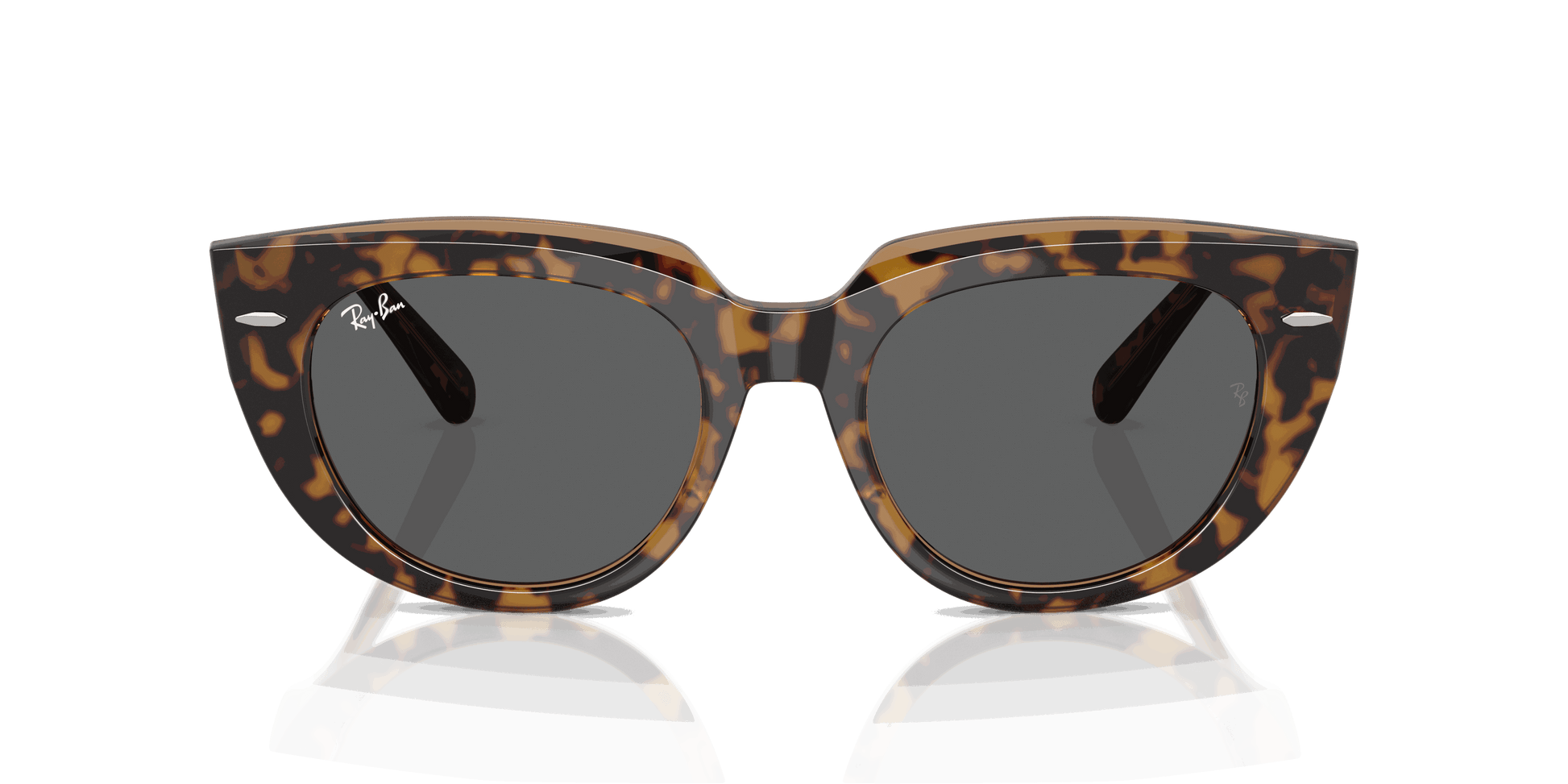 [Dark Grey Lenses, Polished Havana On Transparent Brown Frame]