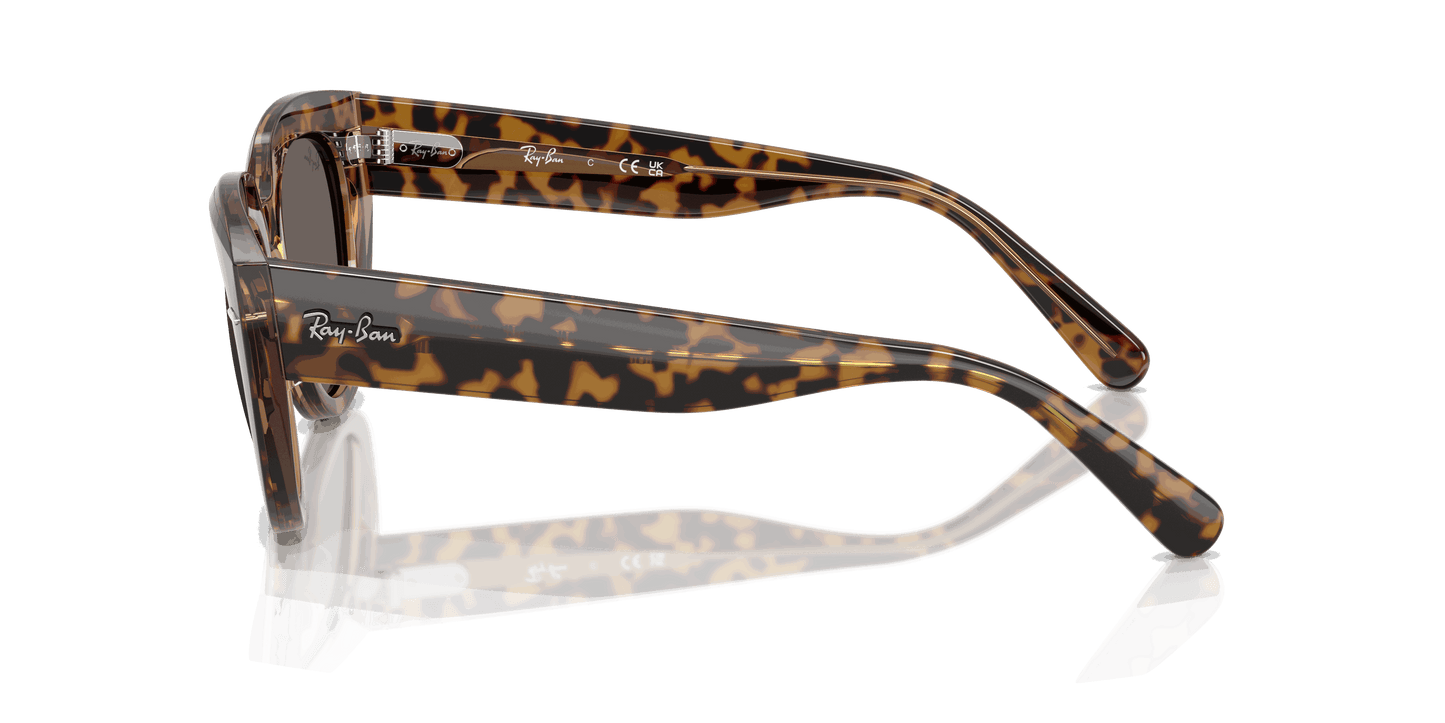 [Dark Grey Lenses, Polished Havana On Transparent Brown Frame]