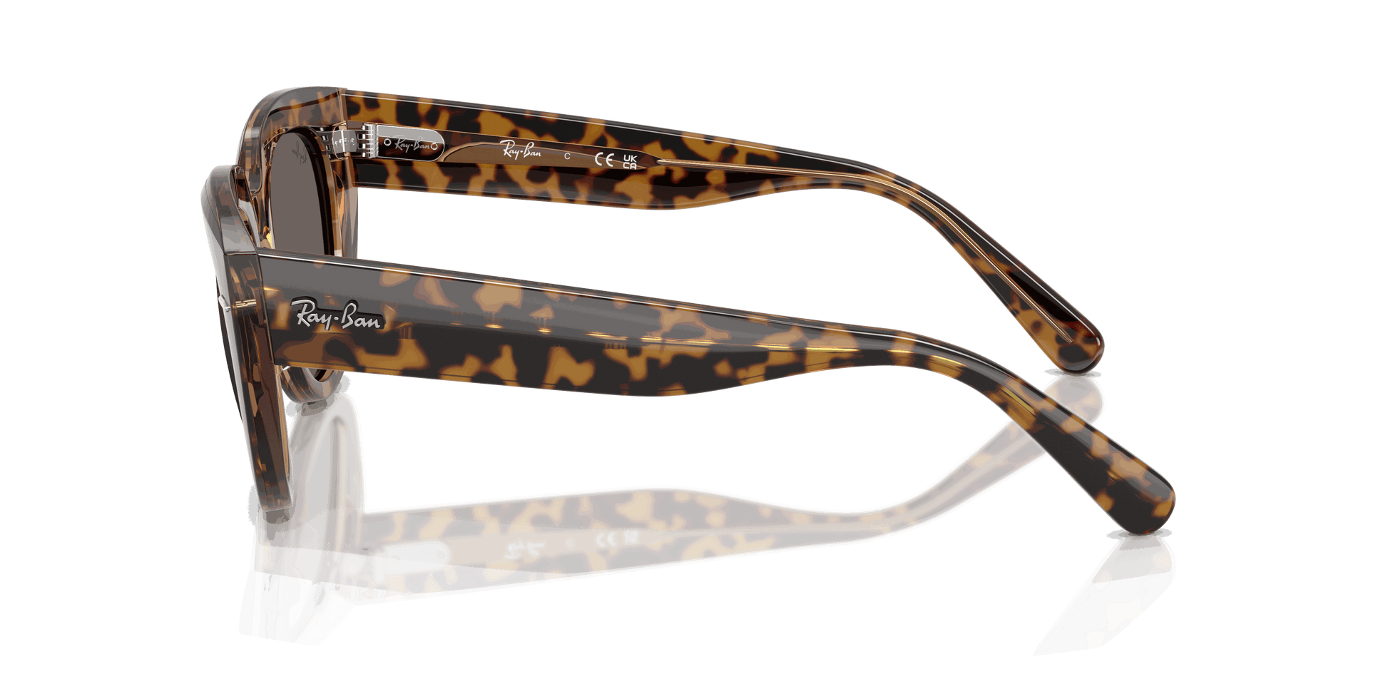 [Dark Grey Lenses, Polished Havana On Transparent Brown Frame]