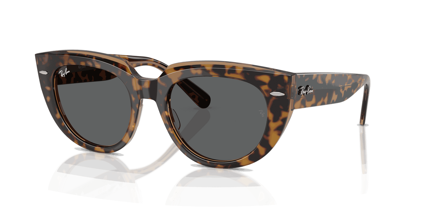 [Dark Grey Lenses, Polished Havana On Transparent Brown Frame]