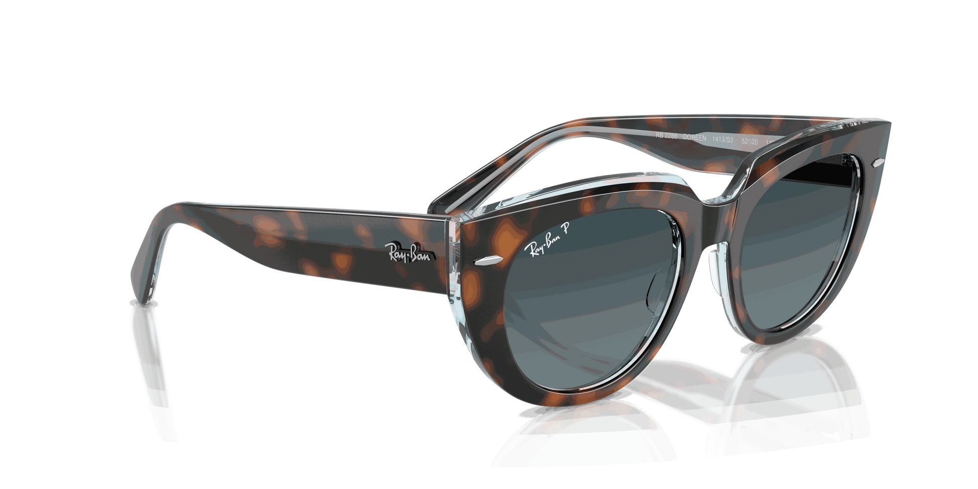 [Blue Gradient Polar Lenses, Polished Dark Havana On Transparent Multicolor Frame]