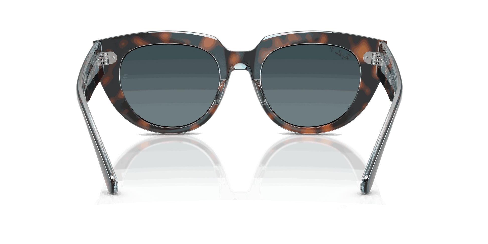 [Blue Gradient Polar Lenses, Polished Dark Havana On Transparent Multicolor Frame]