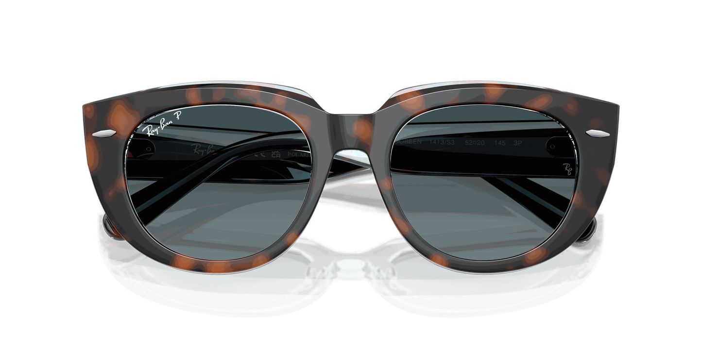 [Blue Gradient Polar Lenses, Polished Dark Havana On Transparent Multicolor Frame]