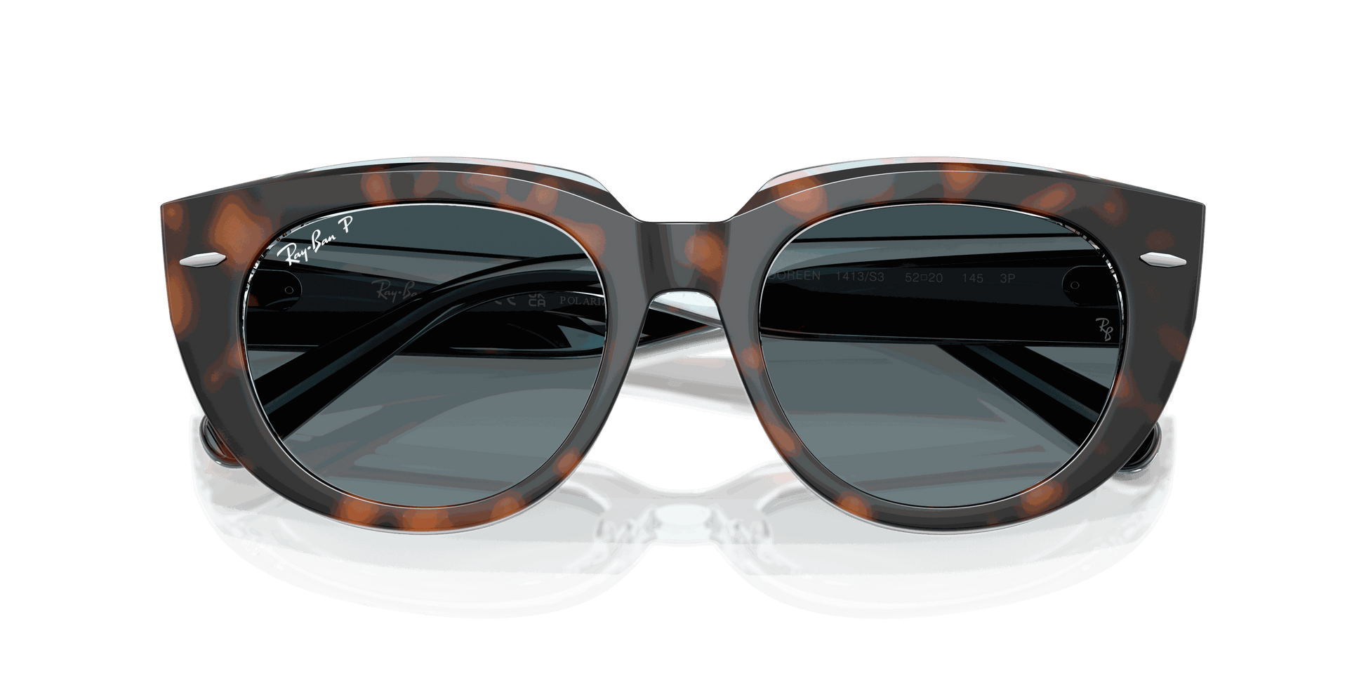 [Blue Gradient Polar Lenses, Polished Dark Havana On Transparent Multicolor Frame]