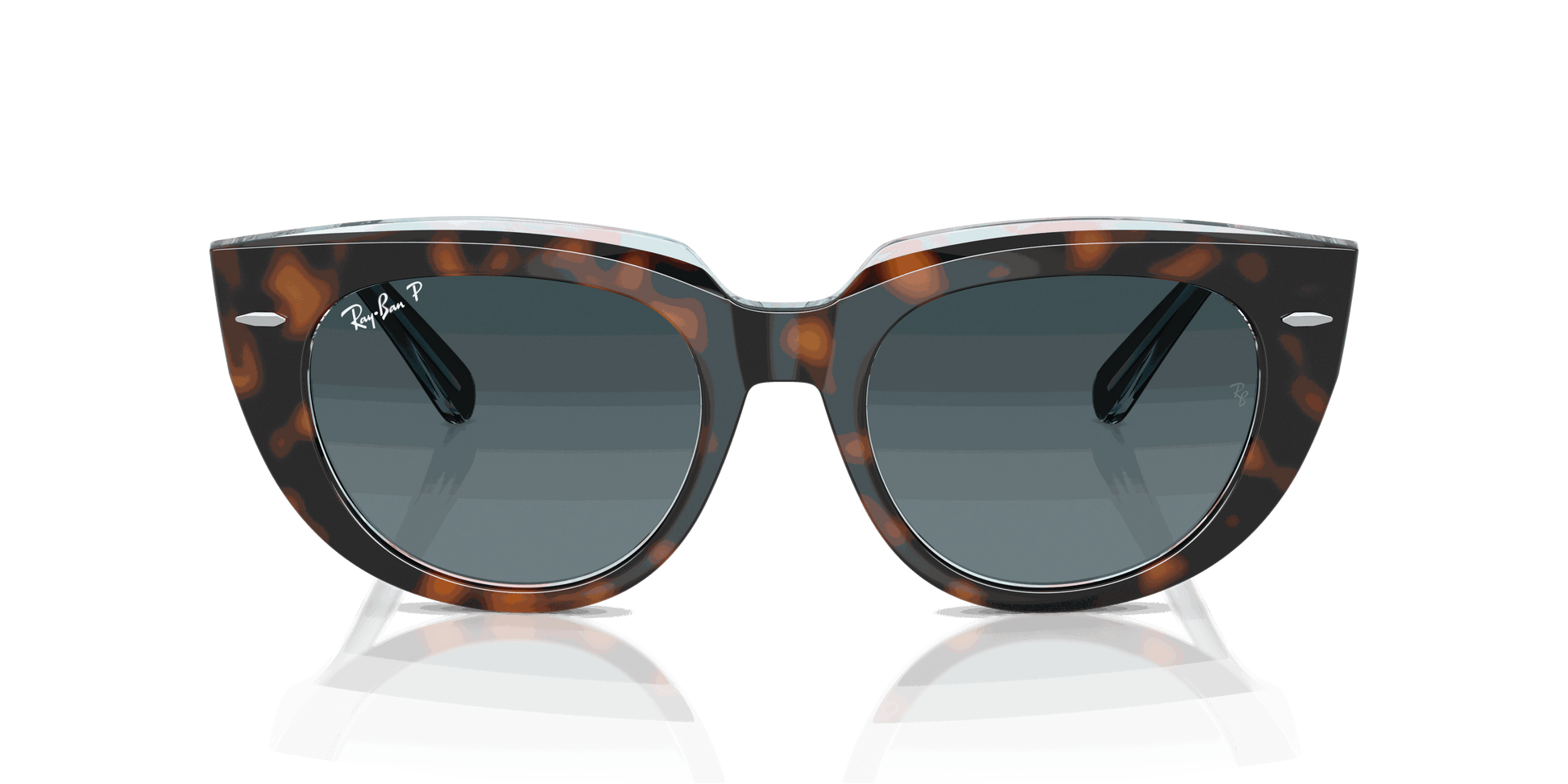 [Blue Gradient Polar Lenses, Polished Dark Havana On Transparent Multicolor Frame]
