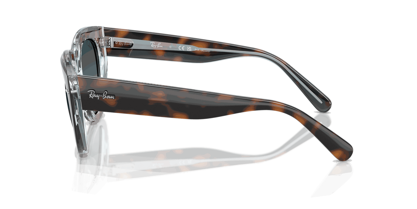 [Blue Gradient Polar Lenses, Polished Dark Havana On Transparent Multicolor Frame]