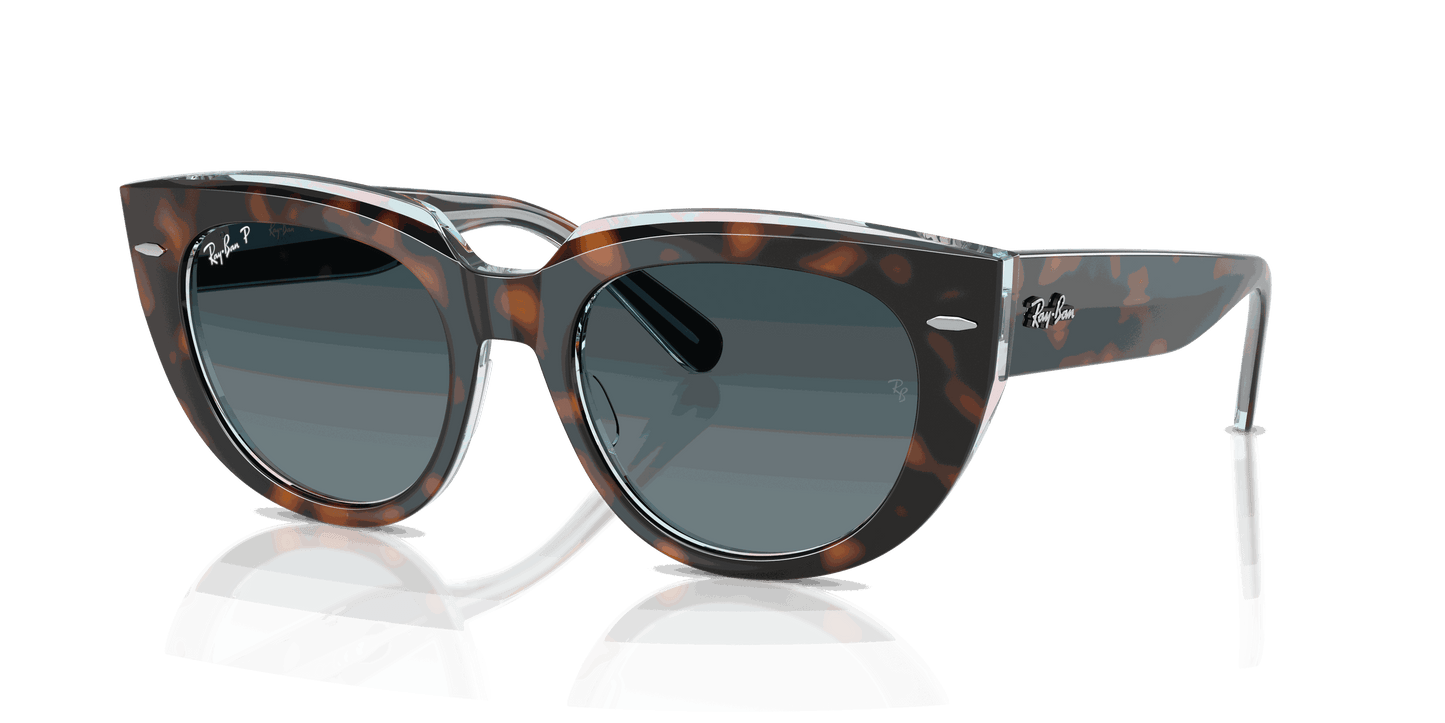[Blue Gradient Polar Lenses, Polished Dark Havana On Transparent Multicolor Frame]