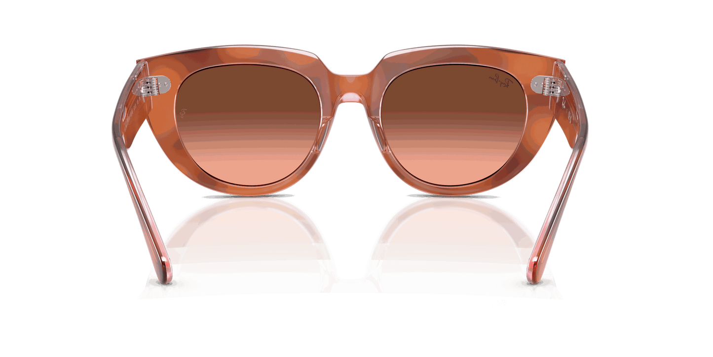 [Pink Gradient Brown Lenses, Polished Red Havana On Transparent Multicolor Frame]