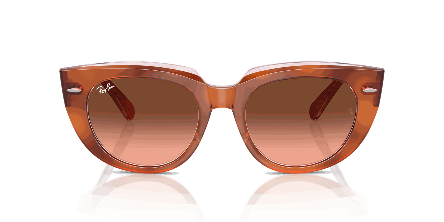 [Pink Gradient Brown Lenses, Polished Red Havana On Transparent Multicolor Frame]