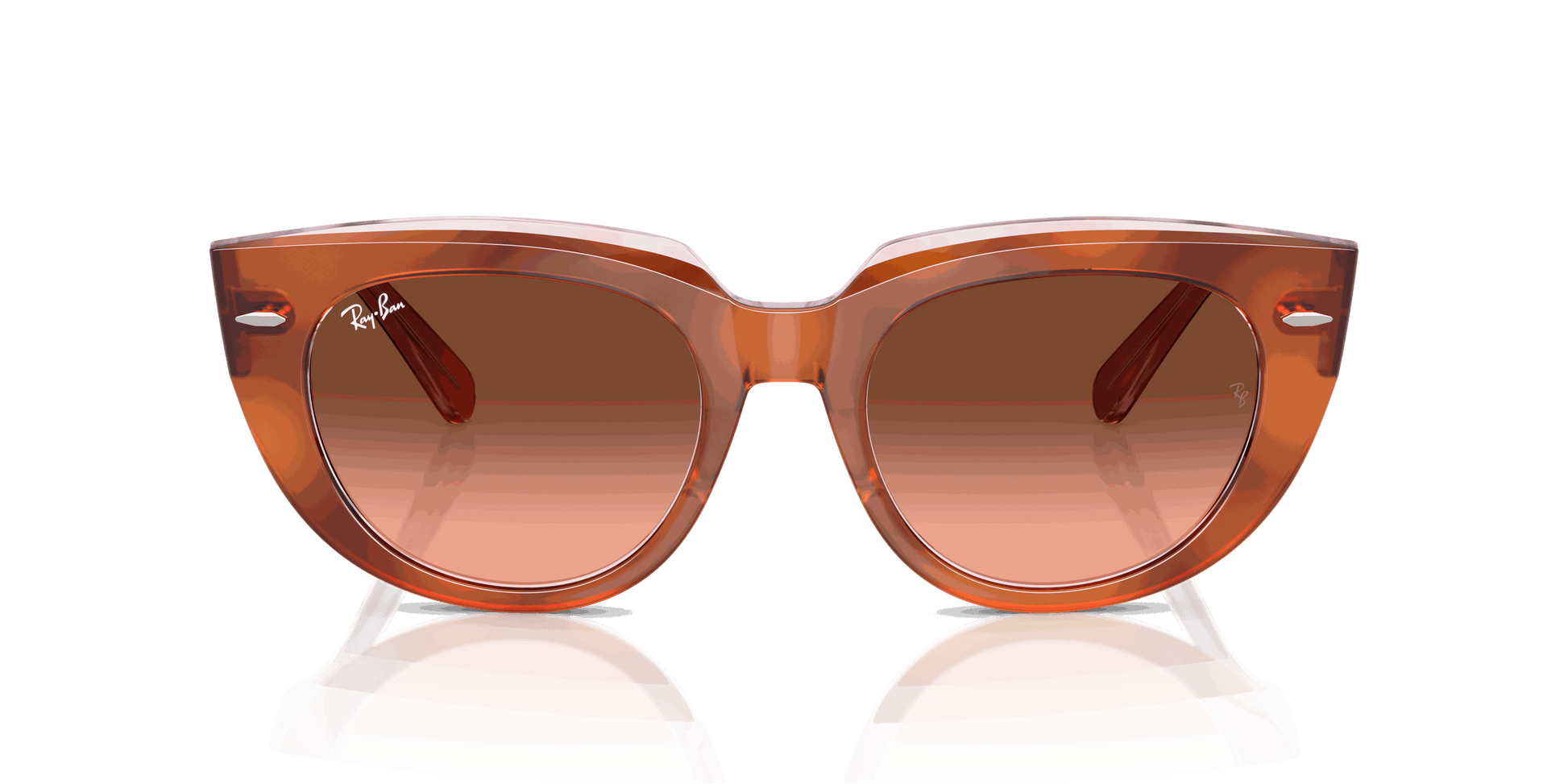 [Pink Gradient Brown Lenses, Polished Red Havana On Transparent Multicolor Frame]