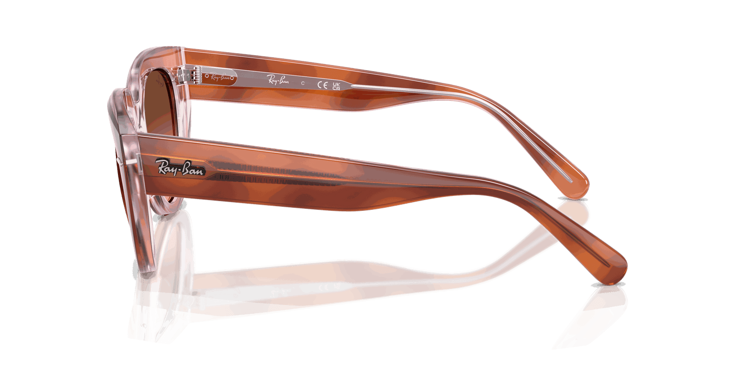 [Pink Gradient Brown Lenses, Polished Red Havana On Transparent Multicolor Frame]