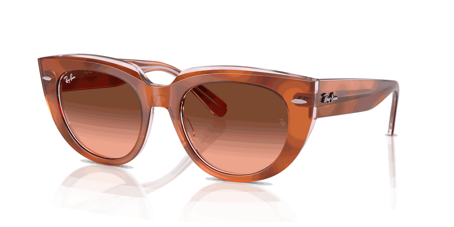 [Pink Gradient Brown Lenses, Polished Red Havana On Transparent Multicolor Frame]