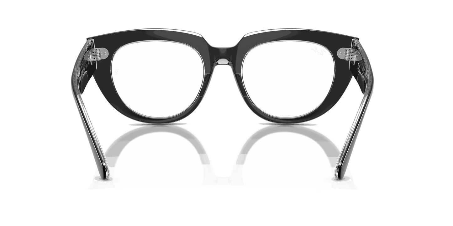 [Clear Lenses, Polished Black On Transparent Frame]
