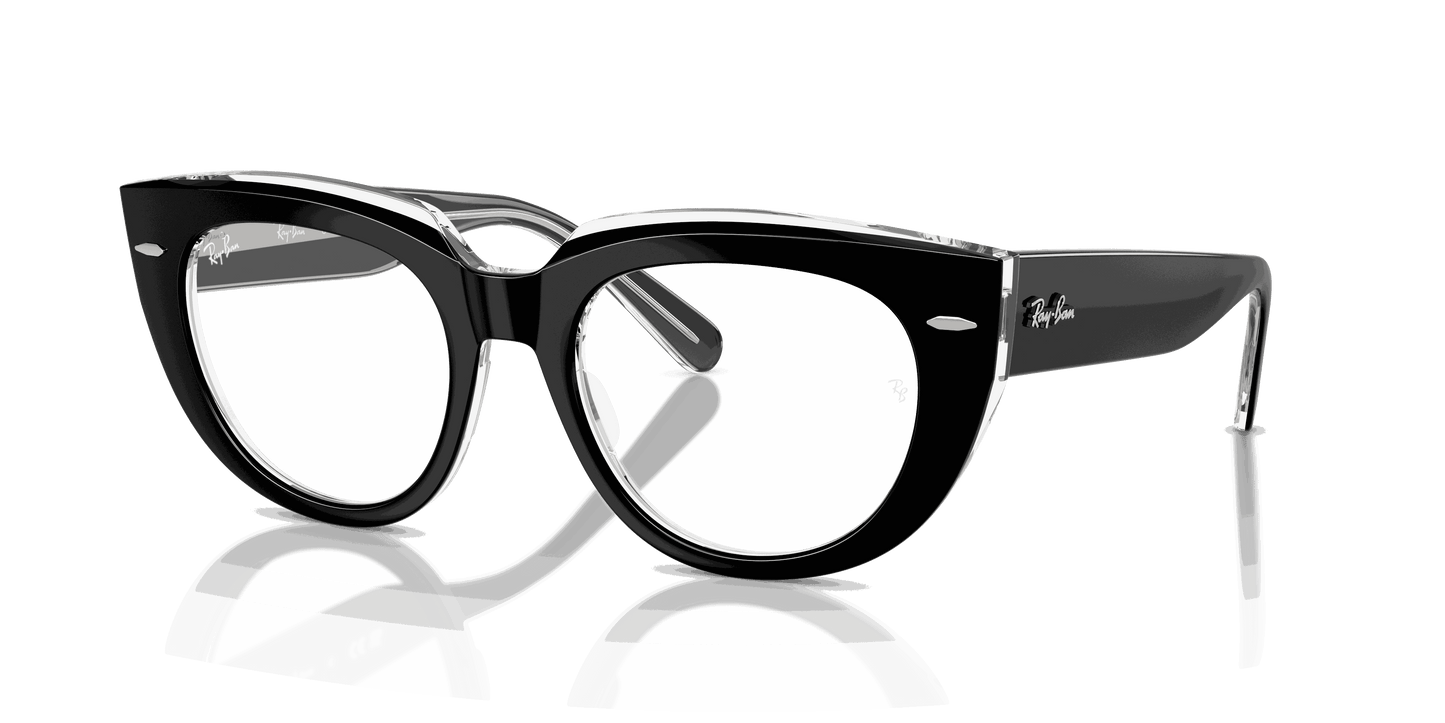 [Clear Lenses, Polished Black On Transparent Frame]