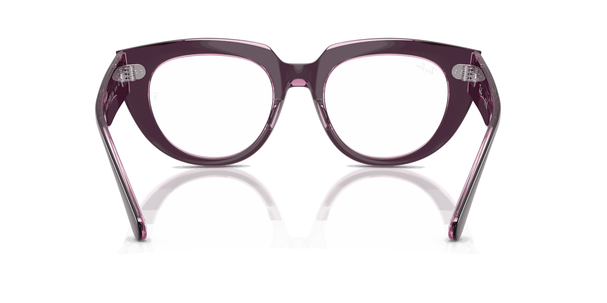[Clear Lenses, Polished Violet On Transparent Pink Frame]